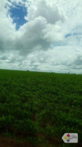 Fazenda de grãos em pontes e lacerda - mato grosso - Foto 19
