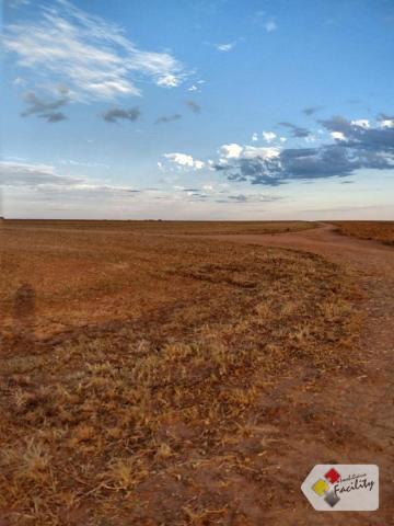 Fazenda de grãos em pontes e lacerda - mato grosso - Foto 3