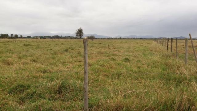 Venda-se está fazenda de 88 Alqueires no Estado do Rio de janeiro/ RJ - Foto 13