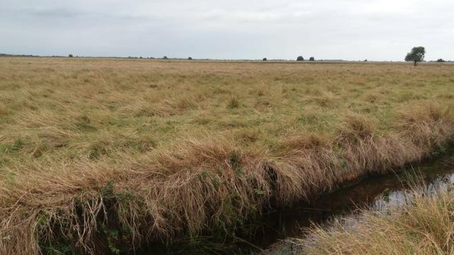 Venda-se está fazenda de 88 Alqueires no Estado do Rio de janeiro/ RJ - Foto 6