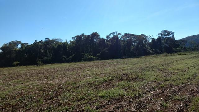 Chacara moradia lazer e valorização 4km de Caturaí - Foto 11