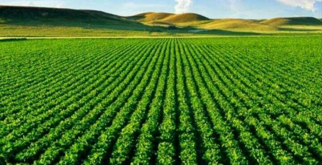 Somos especialistas em compra e venda de fazenda fale conosco * - Foto 2