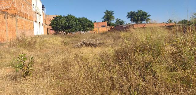 Oportunidade em planaltina DF vendo excelente lote de 1.150 metros no araponga - Foto 10