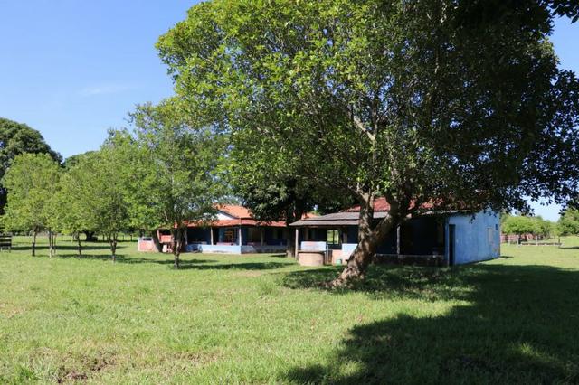 Chácara na região de Santo Antônio de Cuiabá com 32 HA Uma propriedade dos sonhos a 25 - Foto 5