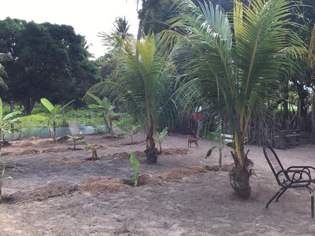 Sol 22 - Excelente Granja sendo 6385m² no Centro - São José de Mipibu - RN - Foto 20