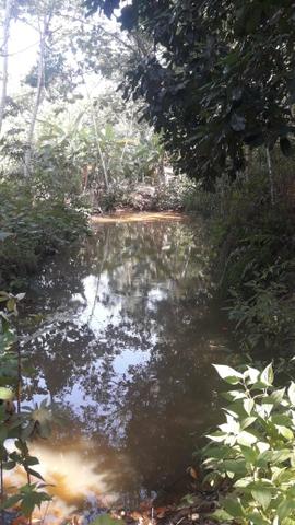 Vendo chácara na serra - Foto 18