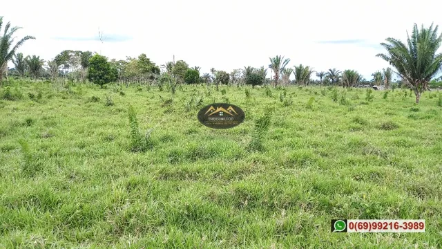 Sítio em boa Localização de Candeias do Jamari-RO