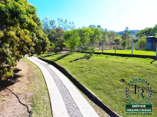 Chácara 44.000M²  Região Taquaruçu Grande - Foto 2