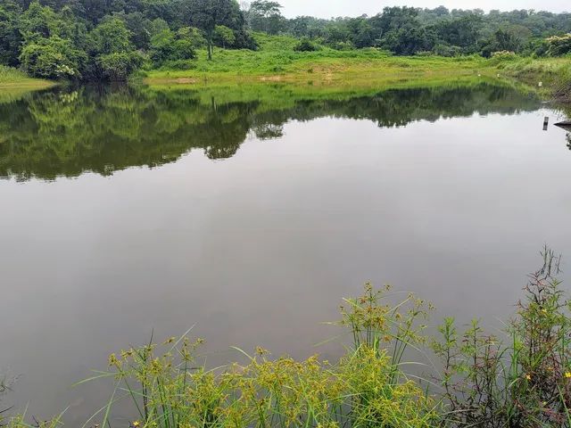 Fazenda 75 Alqueires - Dupla Aptidão  - Foto 5