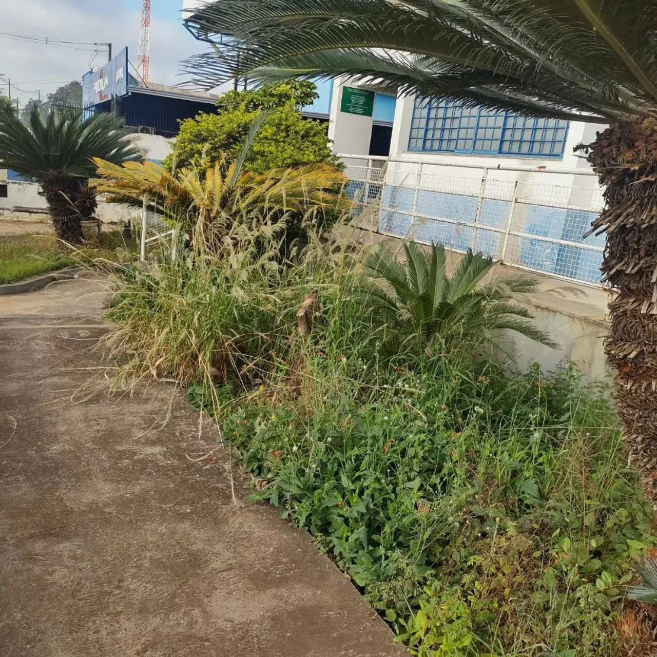 Jardineiro  - Foto 2