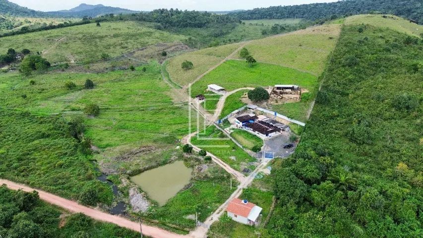 Fazenda completa em Flexeiras com ótima casa sede e 30 hectares