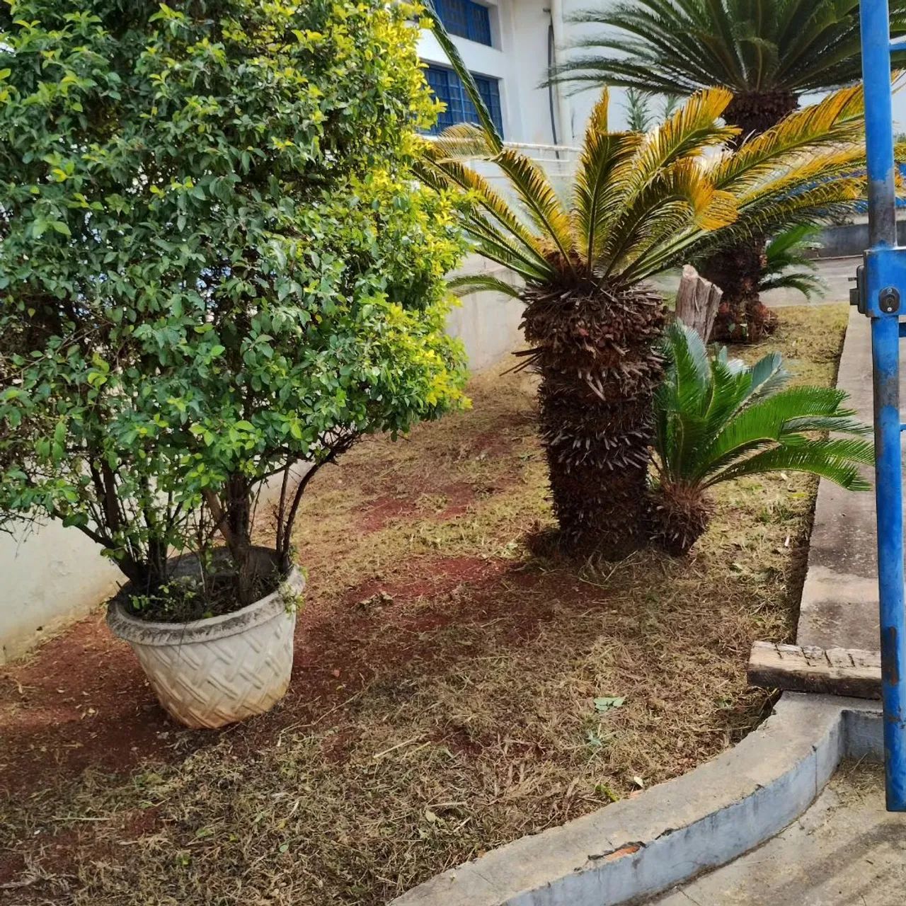 Jardineiro  - Foto 4