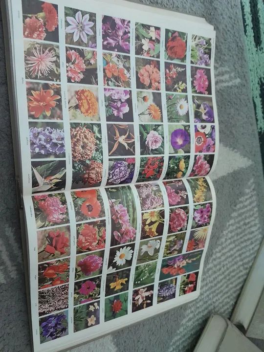 COLEÇÃO DE ENCICLOPÉDIA DELTA E BARSA  - Foto 4