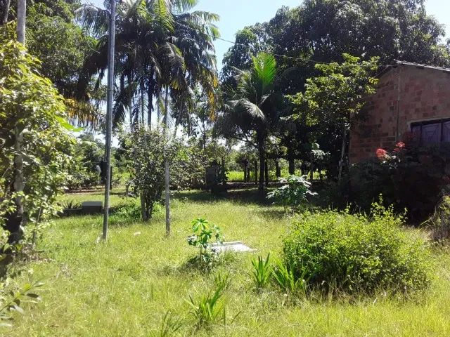 Vendo terreno com casa  - Foto 3