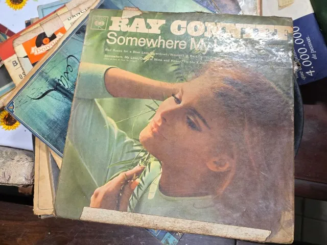 Disco Vinil