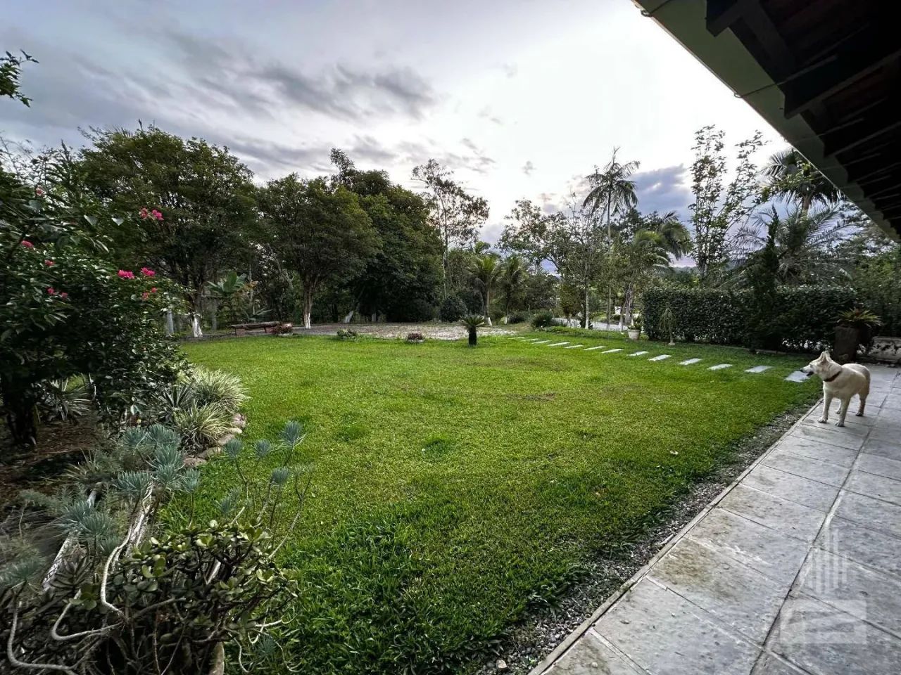 Incrível Sítio à Venda com Área de 32 mil m² no bairro Macuco em Gaspar - Foto 5