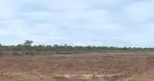 CERRADO MARANHÃO: Fazenda à venda de 52.000ha ideal para garantia bancária. - Foto 5
