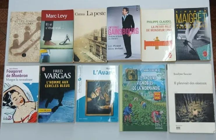 Livros em Francês - Foto 3