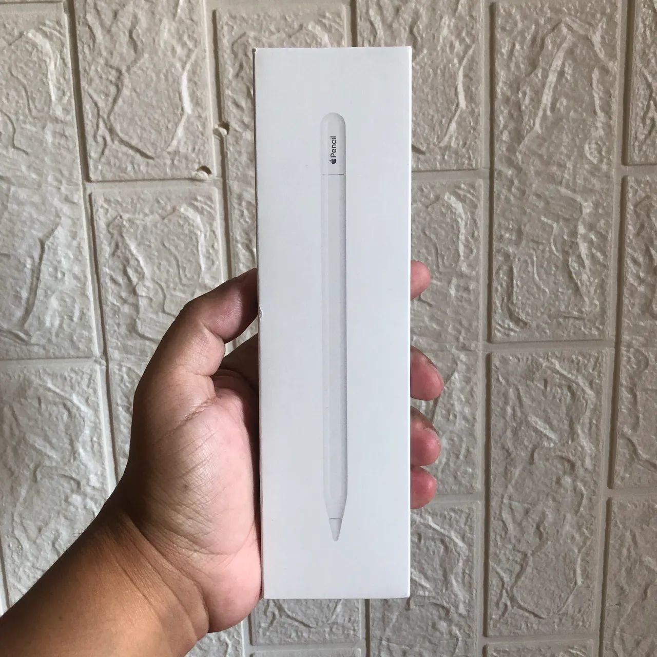 Apple Pencil USB-C Nova e Lacrada