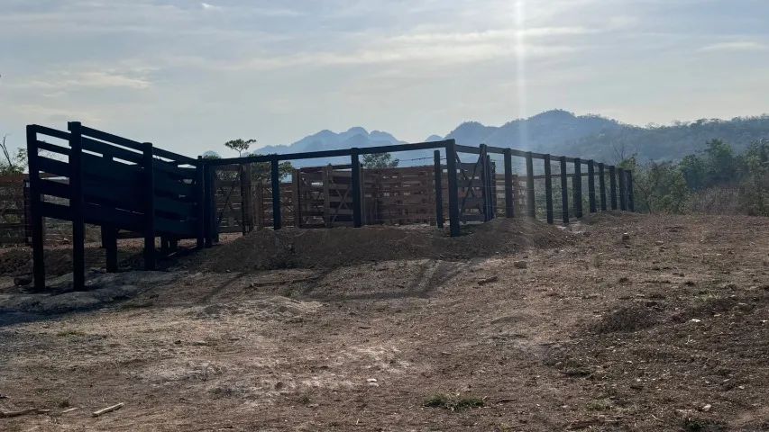 FAZENDA 22,5 ALQUEIRES NO QUEBRA LINHA