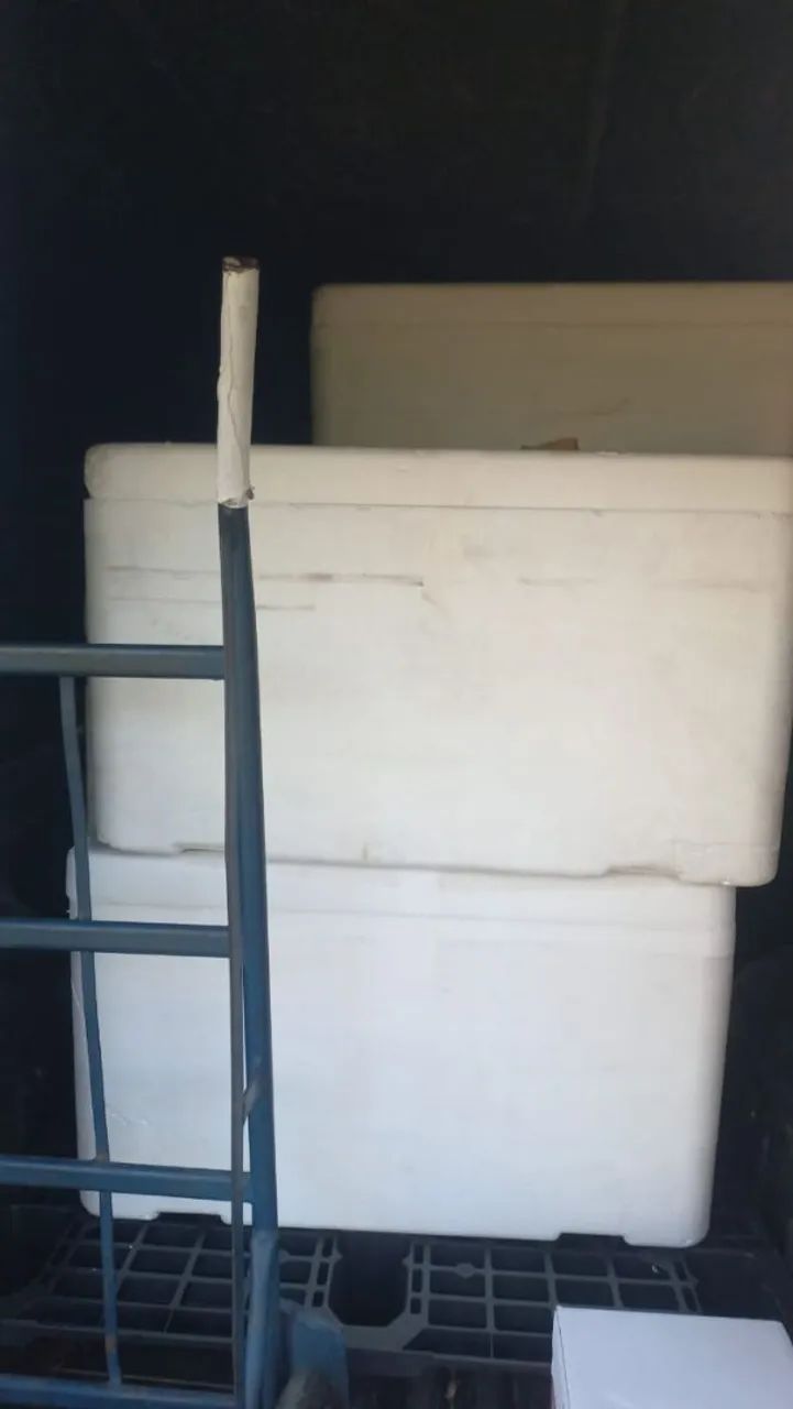 Caixas de isopor64231823847681122