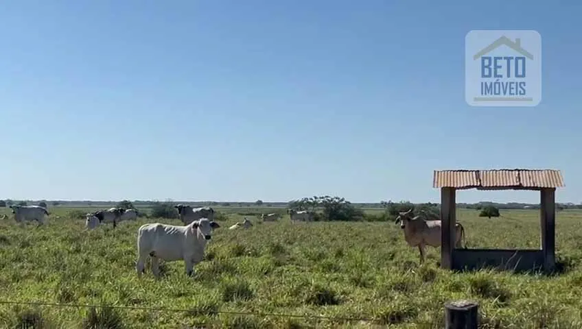 Fazenda/Sítio/Chácara para venda possui 2420000 metros quadrados em Centro - Quissamã - RJ