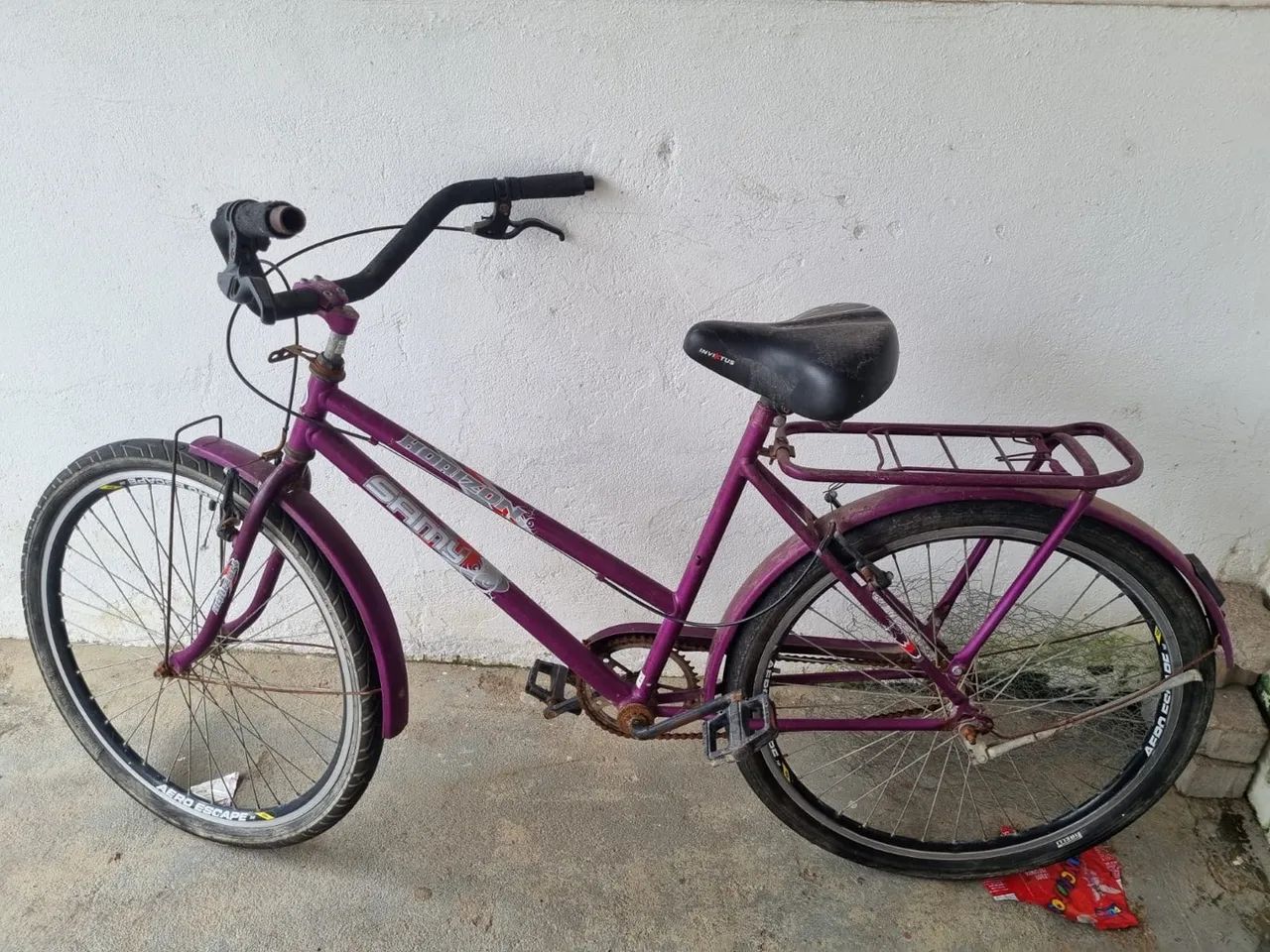 Bicicleta Feminina Samy