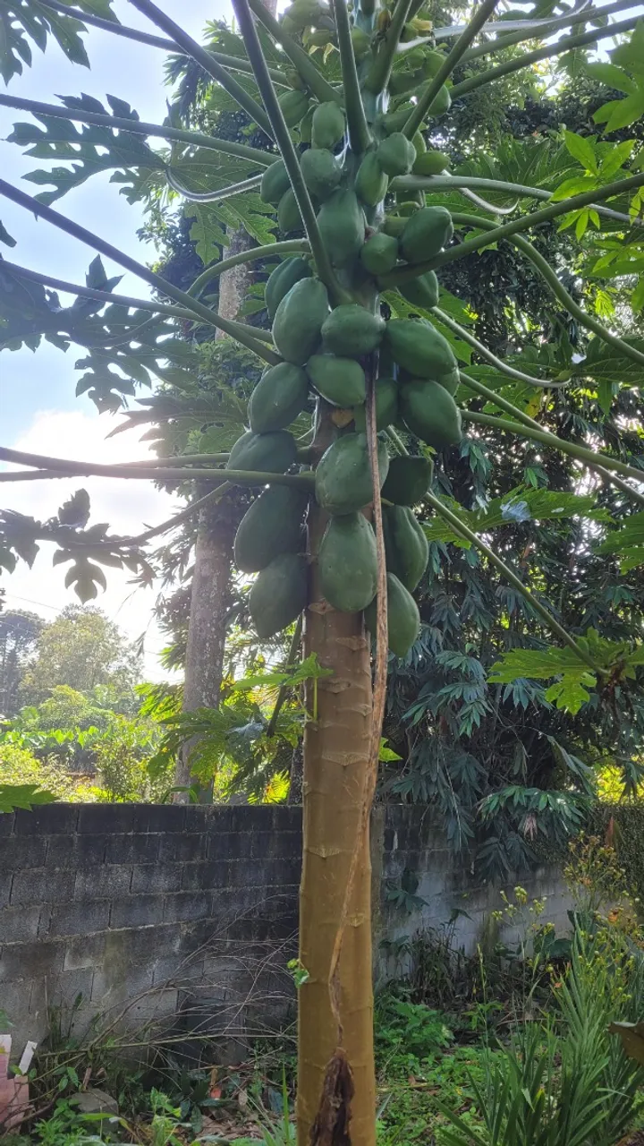 Casa em Mogi das Cruzes, condomínio.