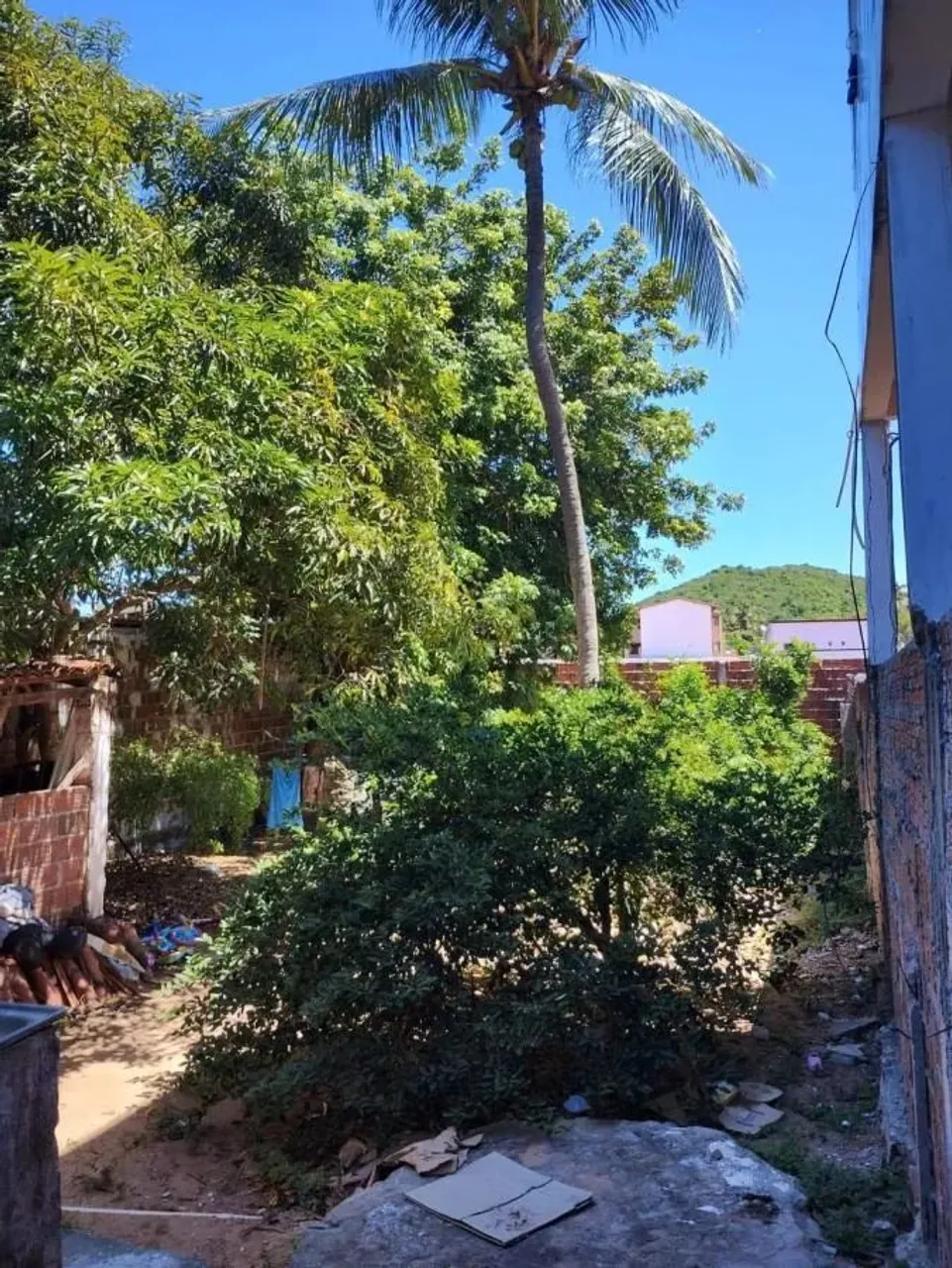 Terreno para Venda em Ponta Negra