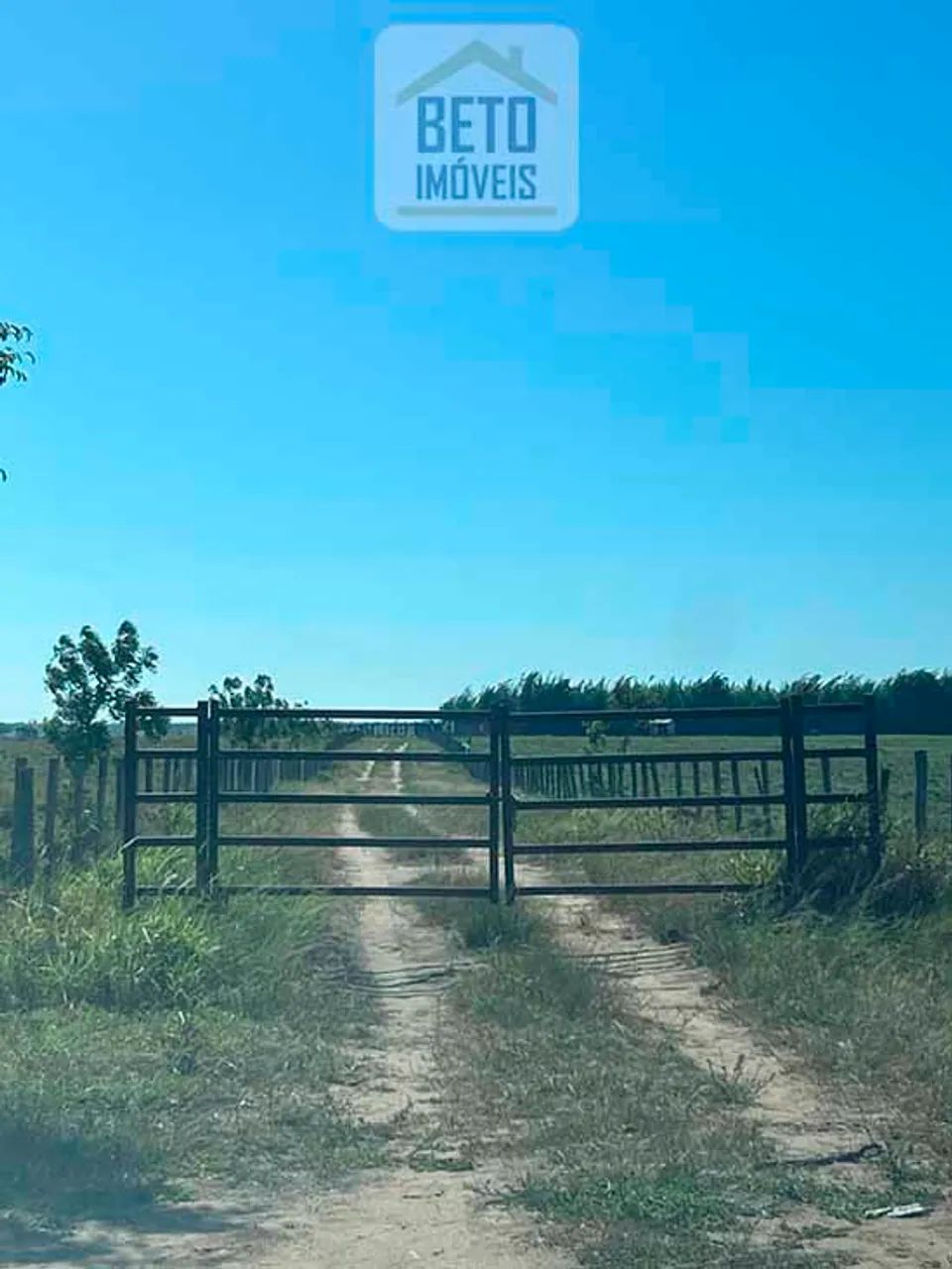 Fazenda/Sítio/Chácara para venda possui 2420000 metros quadrados em Centro - Quissamã - RJ - Foto 5