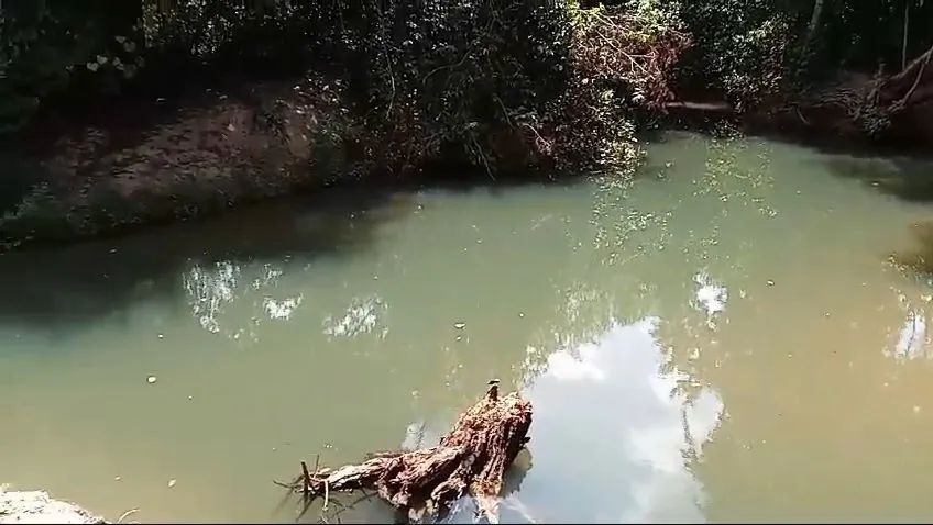 Baixou! Oportunidade! Sítio com riacho natural, casa nova, piscina e pomar