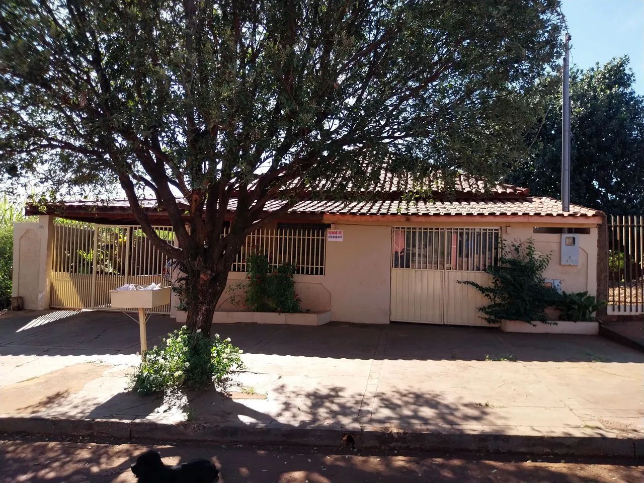 Foto - Terenos - Vila Ferreira