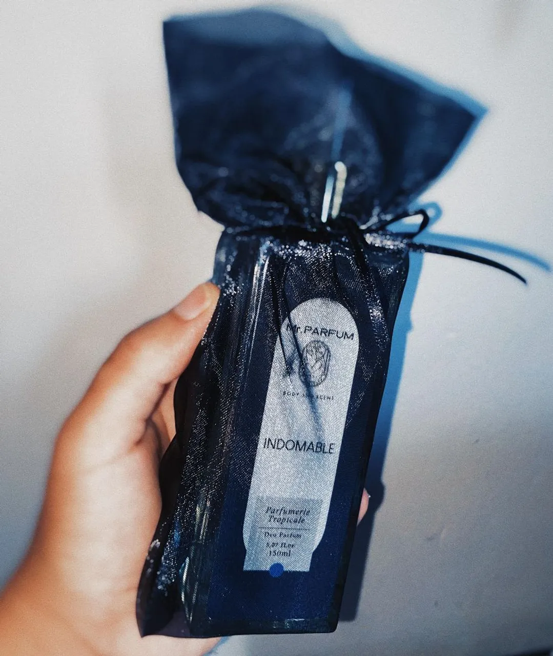 Perfume Indomable Mr. Parfum 150ml (CONTRATIPO SAUVAGE DA DIOR)