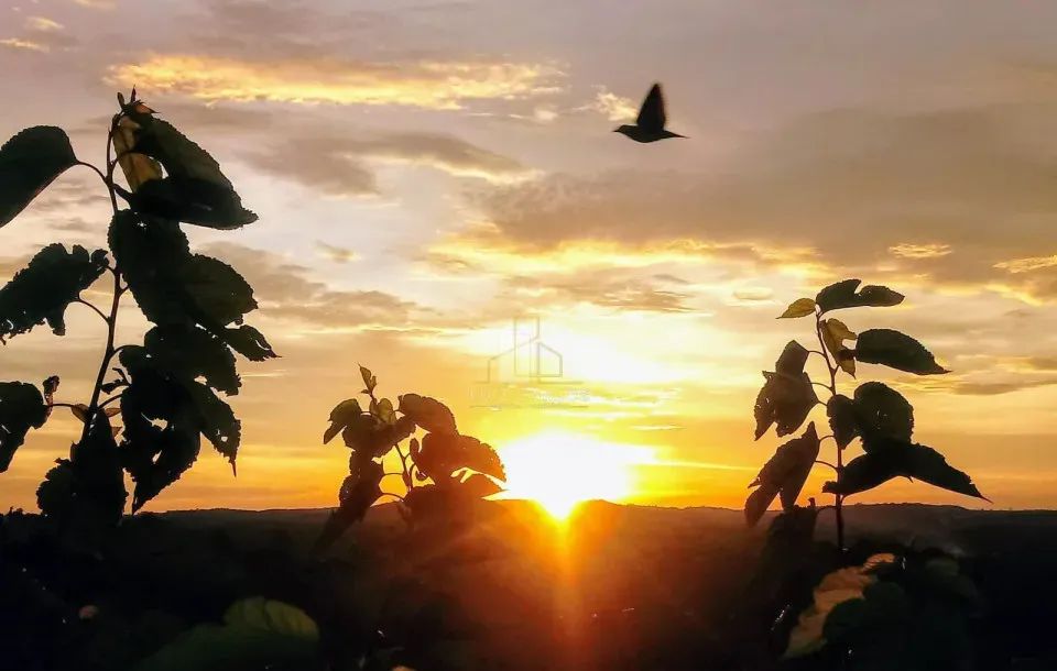 Chácara em Jataizinho - Foto 4