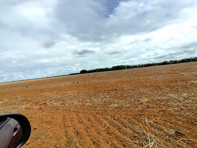 102,8 Ha de SOJA no SUL DO TOCANTINS ÁREA EM SOJA há 6 anos, 20km de Alvorada