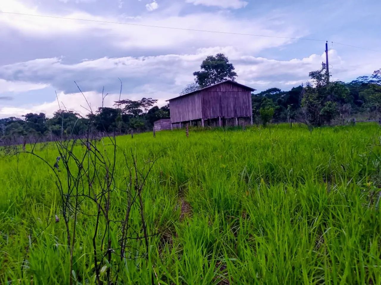 Vende-se colônia em Sena Madureira, 40 hectares, fica perto da cidade apenas 3 km