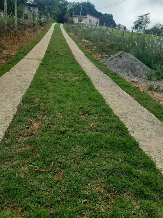 Sítio com casa e área verde em ótima localização - Foto 4