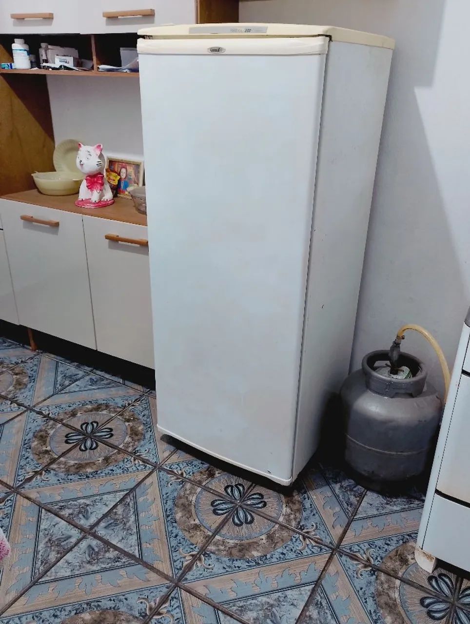 Vendo geladeira cônsul 