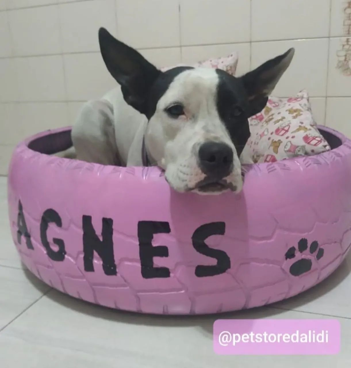 Cama Pet Personalizada 