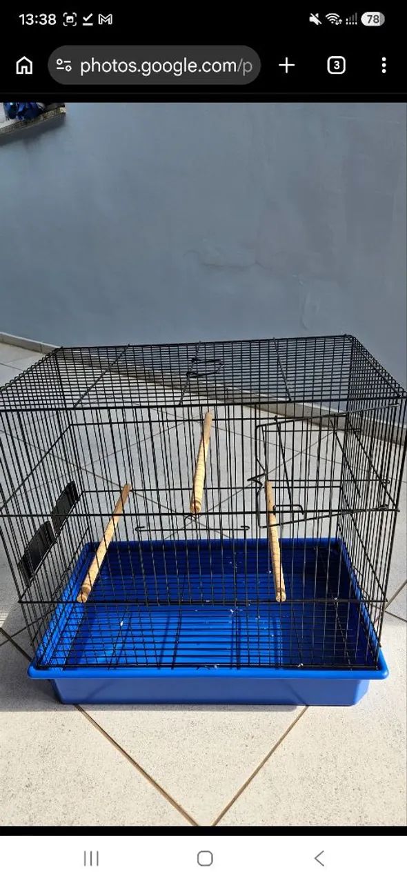 Gaiola Grande  - Foto 3