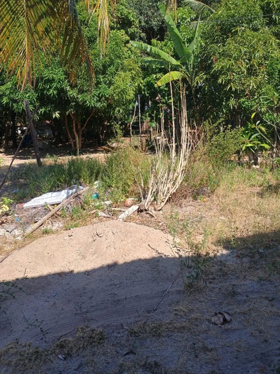 Terreno no forte Orange em Itamaracá  - Foto 2