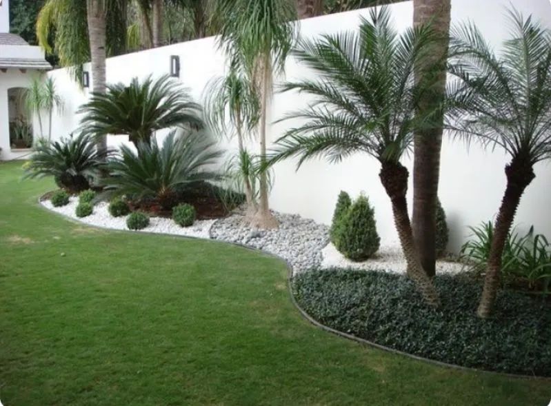 Jardineiro  - Foto 4