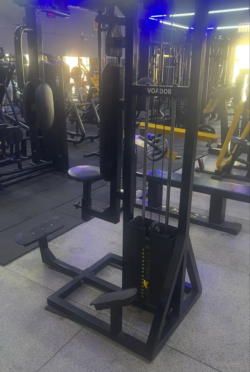 Vende voador - dorsal  - Foto 2