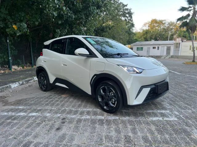 BYD Dolphin Mini (Elétrico) 2027
