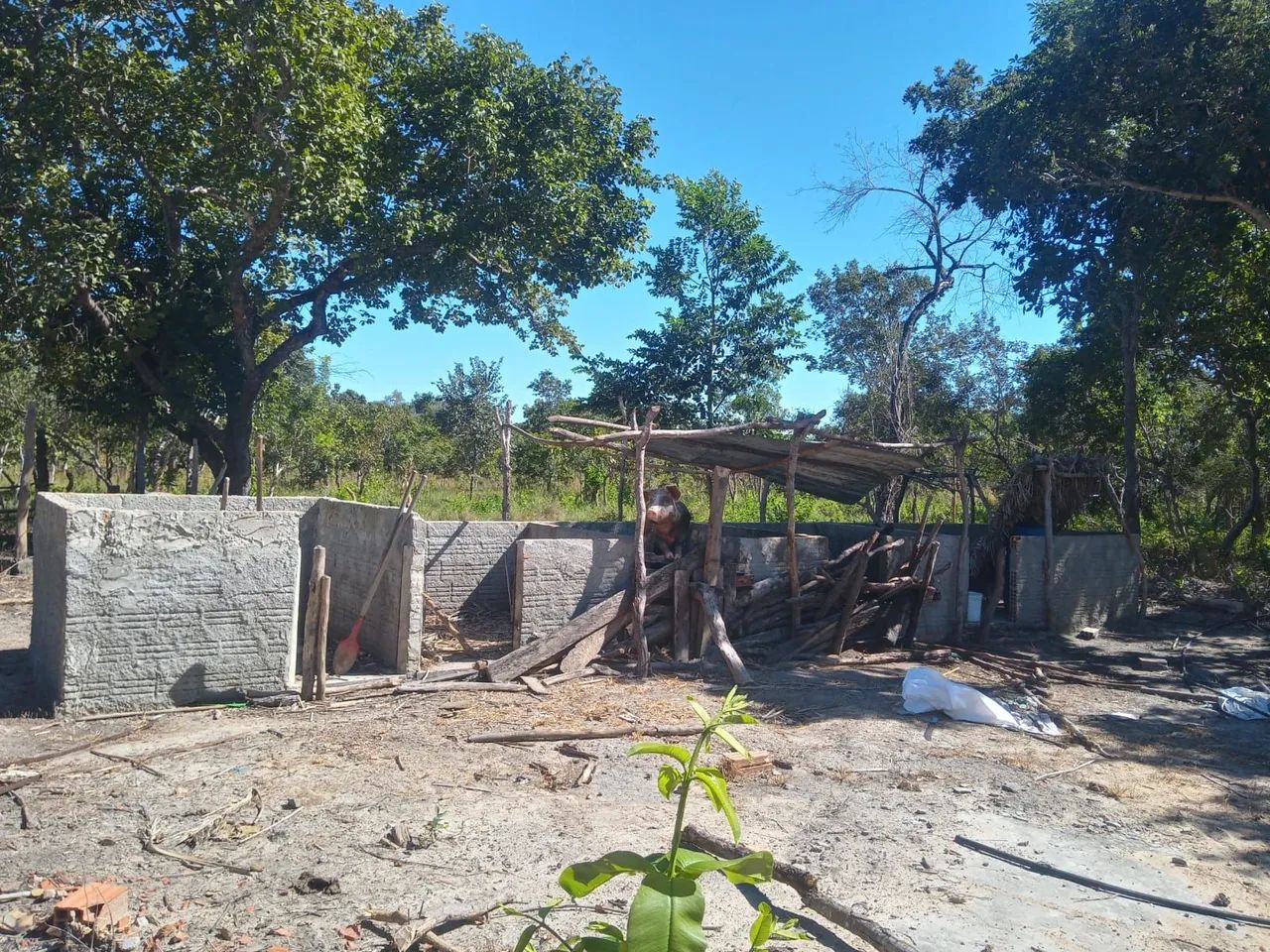Terra Parana Tocantins - Foto 3