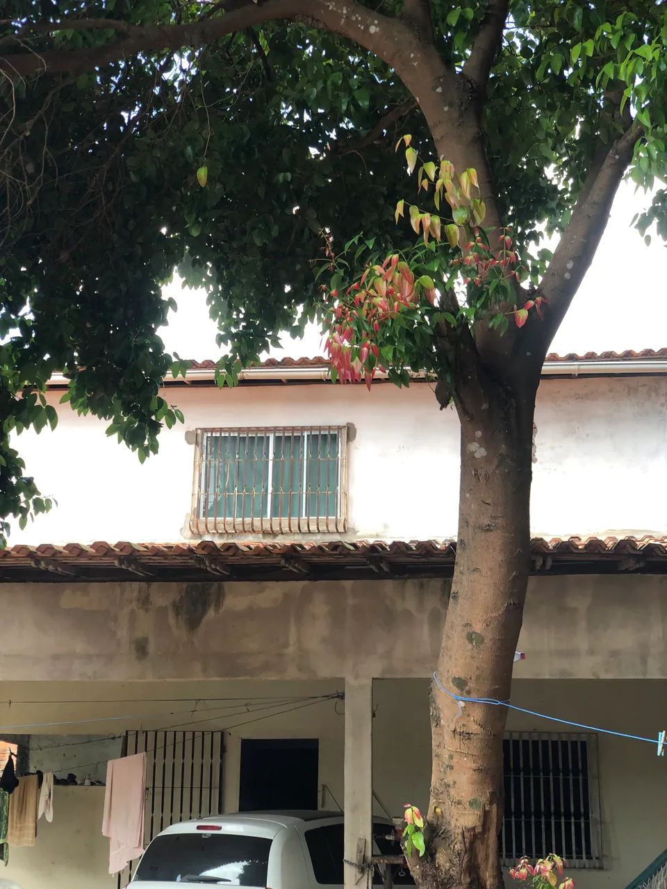 Vendo sítio com casa - Estrada da Raposa - Foto 3