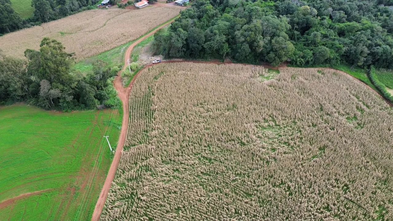 Chácara para venda - Foto 3