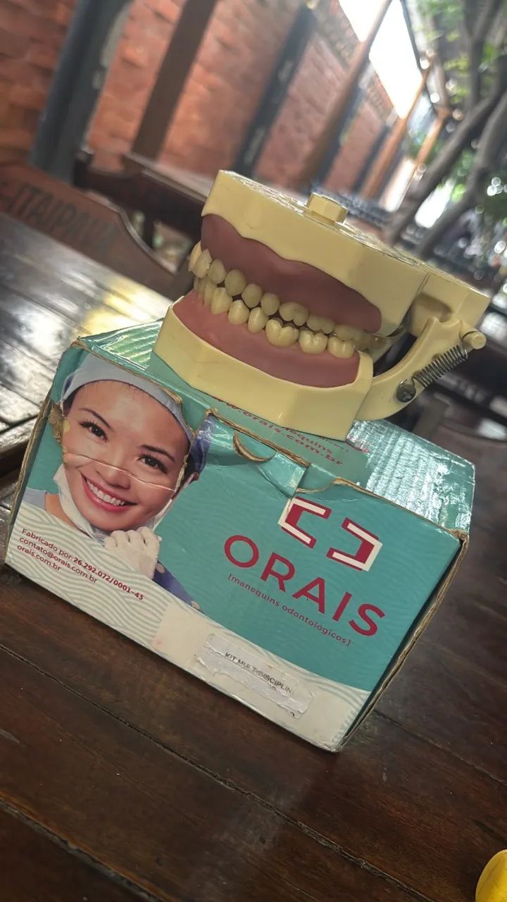 Manequim odontológico de dentista e perio - Foto 2