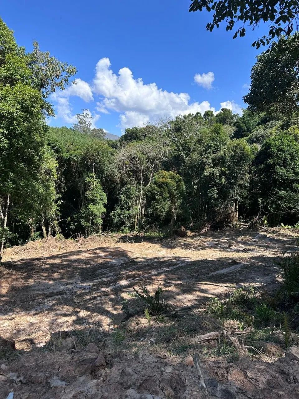 Terreno cheio de natureza 