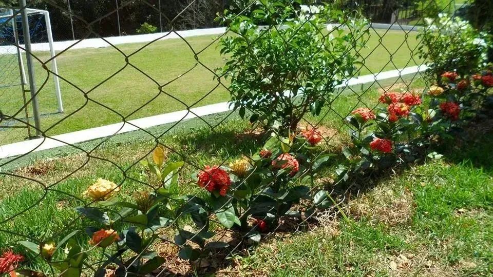 CHÁCARA EMBU DAS ARTES - Foto 5